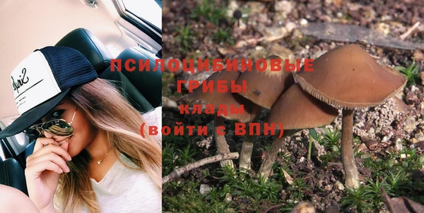 прущие грибы Абдулино